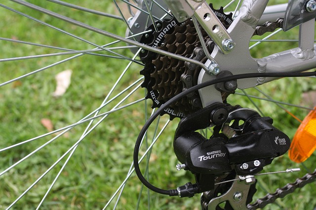 A Shimano töretlen népszerűsége